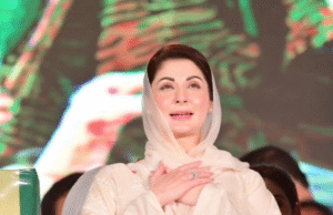 وزیراعلیٰ پنجاب کا زمینوں پر ناجائز قبضے چھڑانے کیلئے قانون سازی کا اعلان