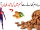 روزانہ بادام کھانے سے جسم پر کیا اثرات مرتب ہوتے ہیں؟